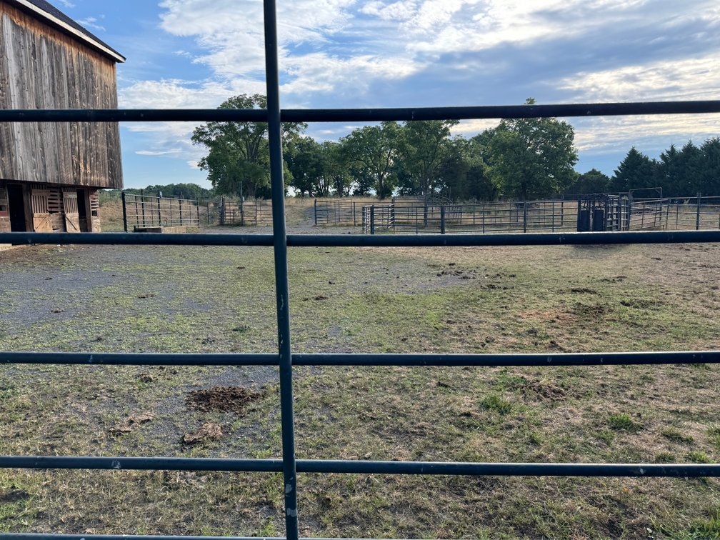 Image for 33.16± Acre Farm in Berryville, VA!