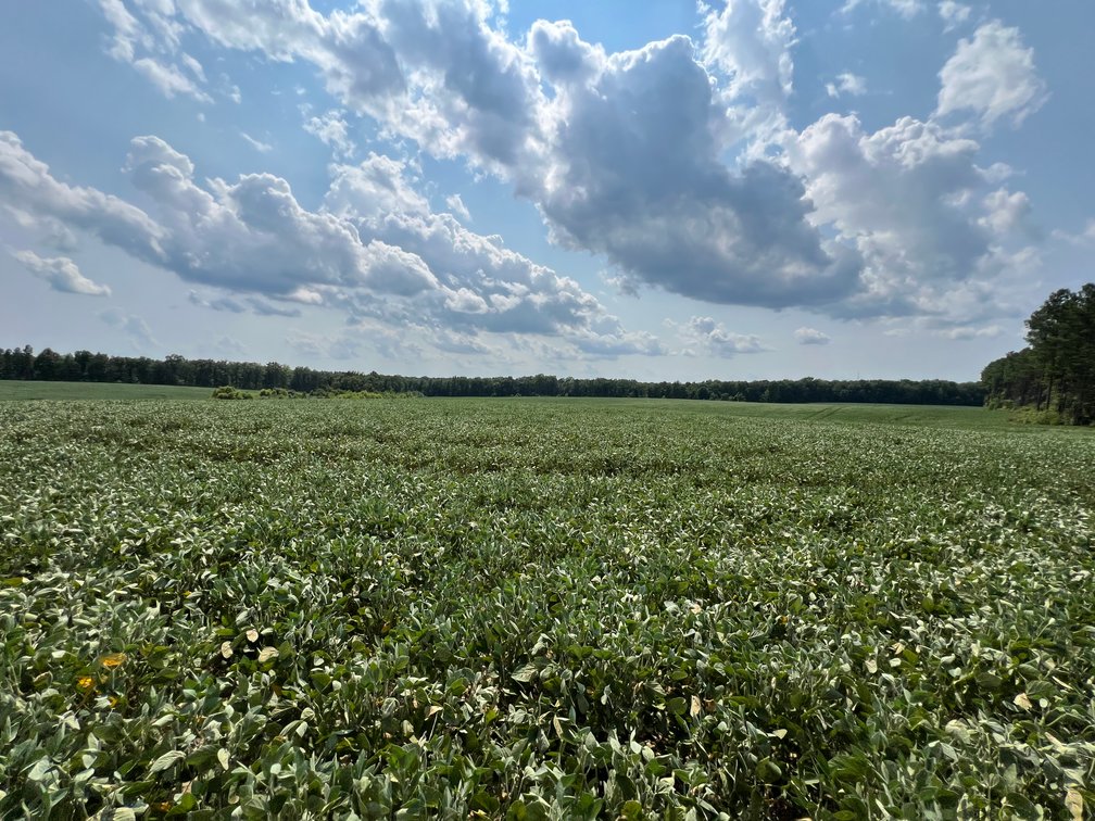 Image for 1,600 +/- Acres w/5 +/- Miles of South Anna River Frontage, 6 miles from I-64 & 30 Miles From Charlottesville & Short Pump, VA--Louisa County, VA