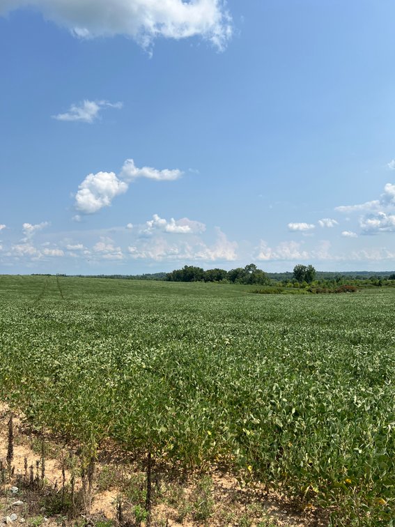 Image for 1,600 +/- Acres w/5 +/- Miles of South Anna River Frontage, 6 miles from I-64 & 30 Miles From Charlottesville & Short Pump, VA--Louisa County, VA