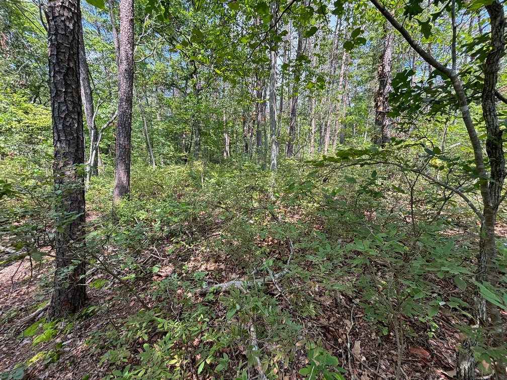 Image for 6.48 +/- Acre Land Parcel w/430' +/- of Passage Creek Frontage in Warren County, VA--ONLINE ONLY BIDDING!!