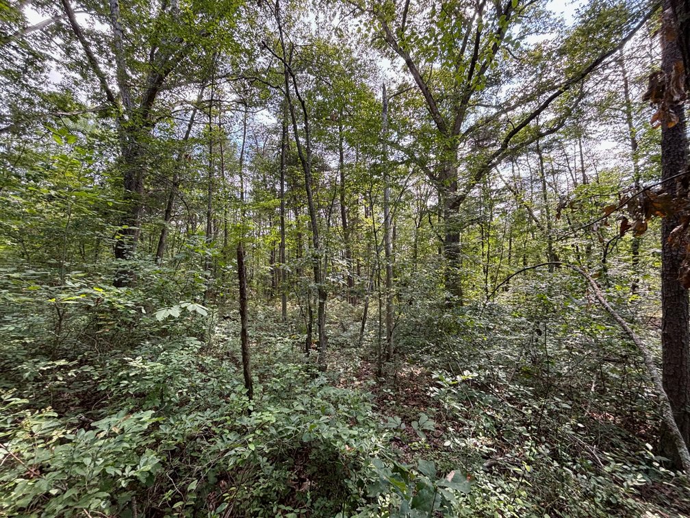Image for 6.48 +/- Acre Land Parcel w/430' +/- of Passage Creek Frontage in Warren County, VA--ONLINE ONLY BIDDING!!