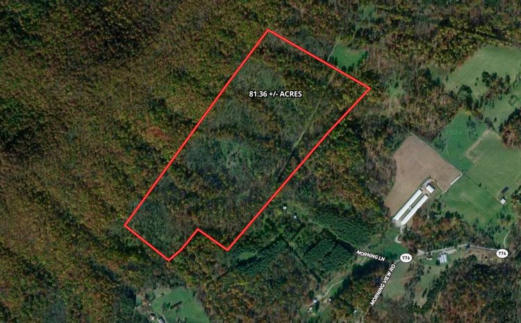 Image for 81 +/- Acre Land Parcel w/Spring House, Access Roads & Tons of Wildlife--Rockingham County, VA