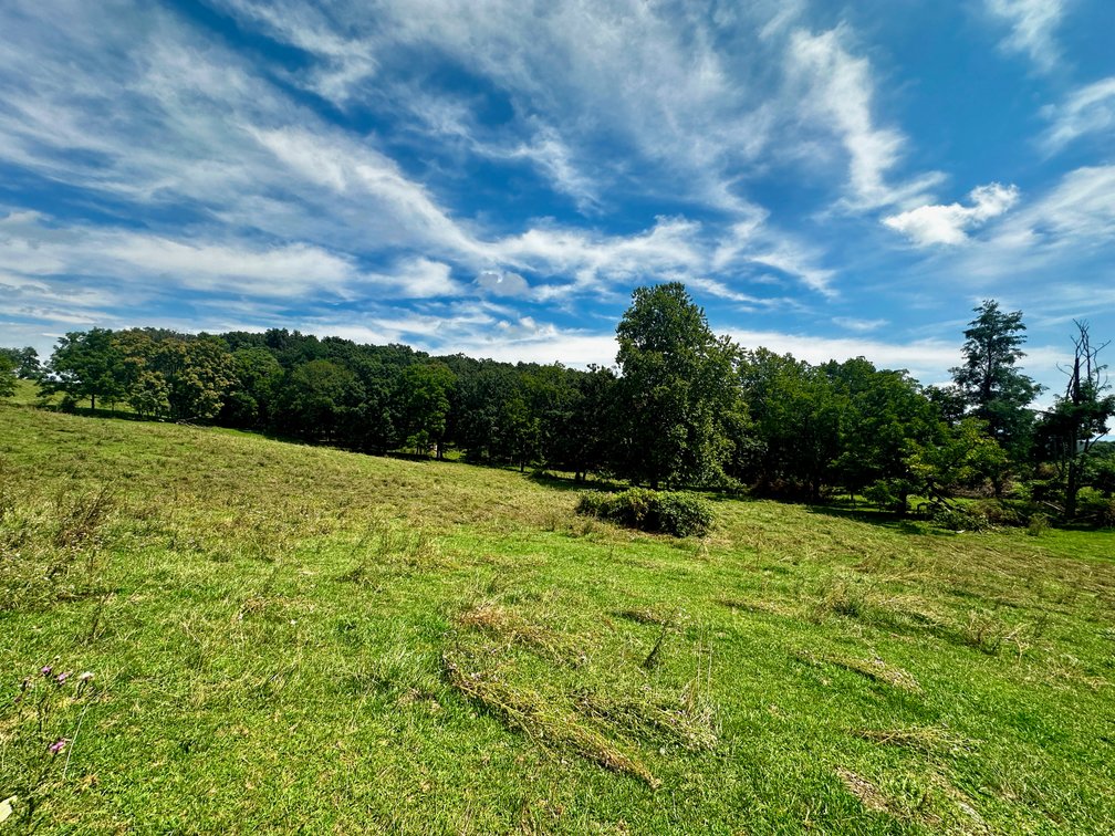 Image for 39.25 +/- Acres w/3 BR Farm House, 2 Poultry Houses, Loafing Shed & Litter Storage Shed--Rockingham County, VA