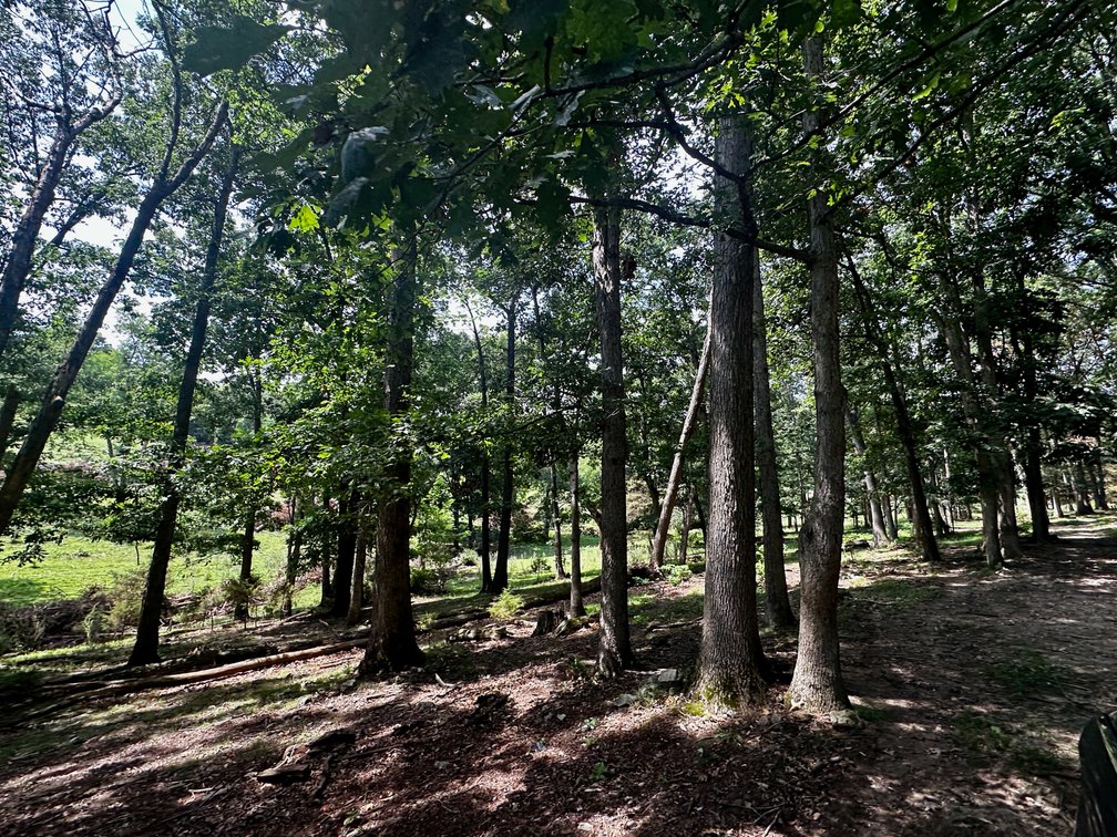 Image for 39.25 +/- Acres w/3 BR Farm House, 2 Poultry Houses, Loafing Shed & Litter Storage Shed--Rockingham County, VA