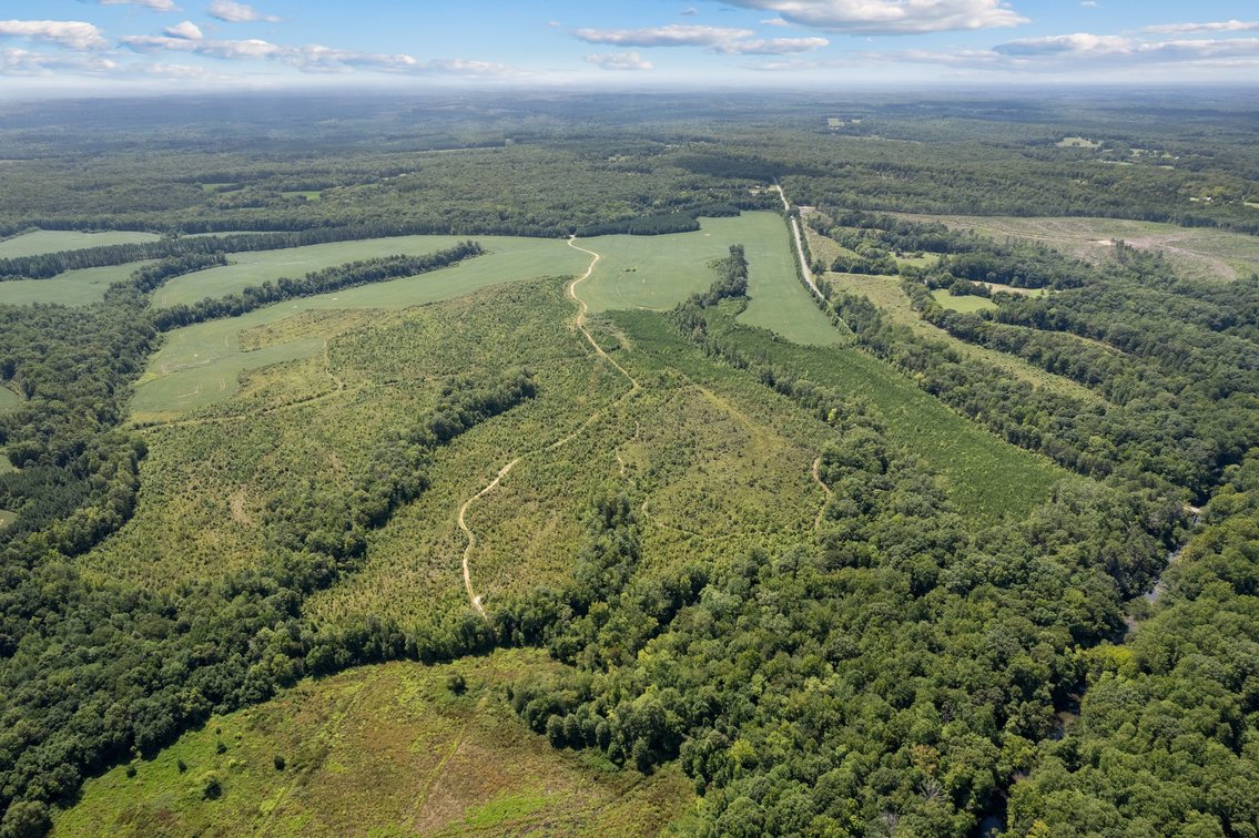 Image for 1,600 +/- Acres w/5 +/- Miles of South Anna River Frontage, 6 miles from I-64 & 30 Miles From Charlottesville & Short Pump, VA--Louisa County, VA