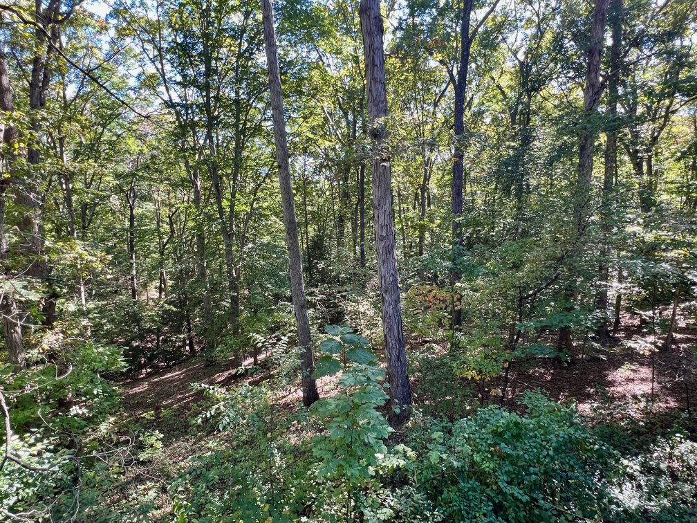 Image for 4 BR/3 BA Home w/Walk-Out Basement on 8.7 +/- Acres in North Stafford County, VA