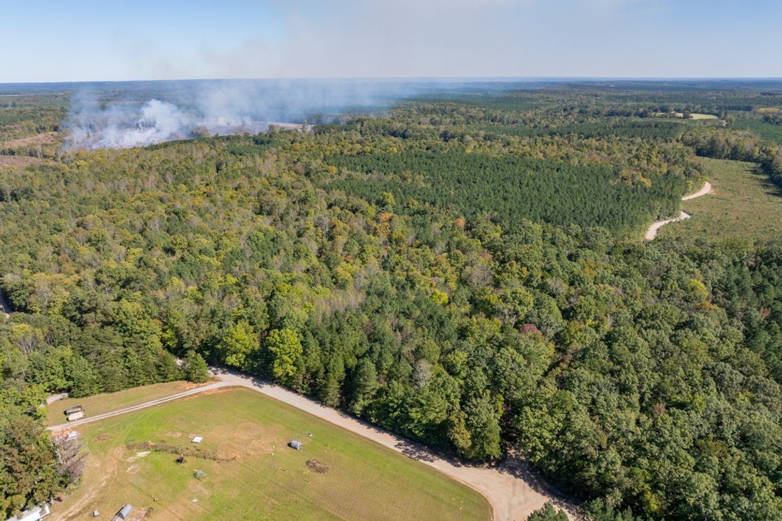 Image for 102 +/- Acre Timber Tract w/Large Amount of Frontage on 2 Roads--Lunenburg County, VA