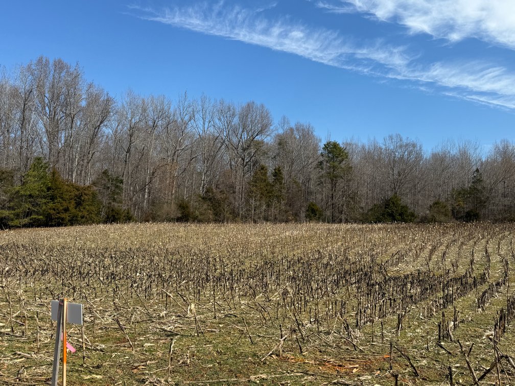 Image for 50 +/- Acre Estate Building Lot in Spotsylvania County, VA-- SELLING to the HIGHEST BIDDER via ONLINE ONLY BIDDING!!