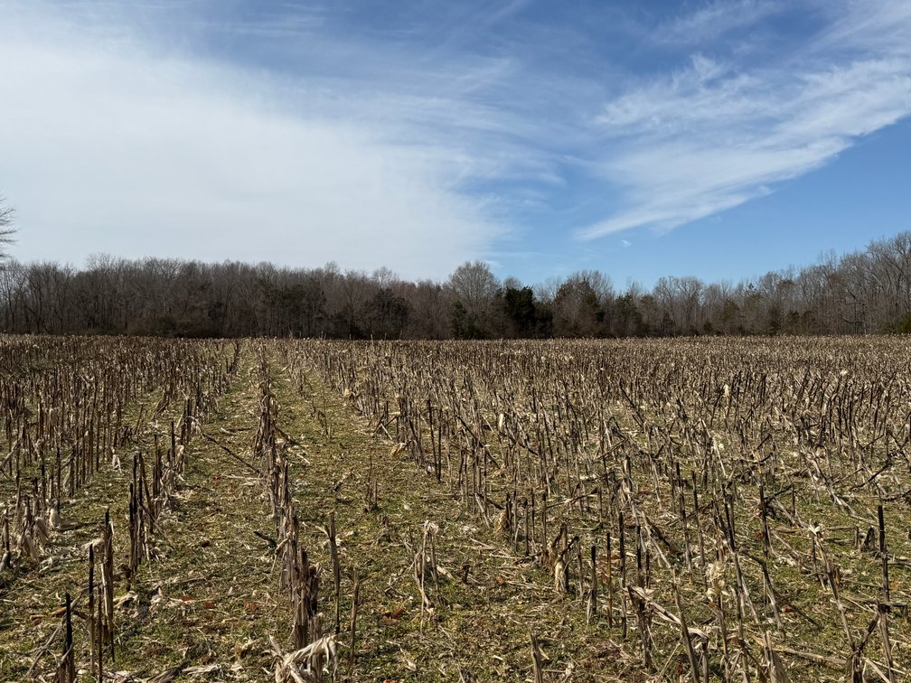 Image for 15.68 +/- Acre Estate Building Lot in Spotsylvania County, VA--ONLINE ONLY BIDDING!!