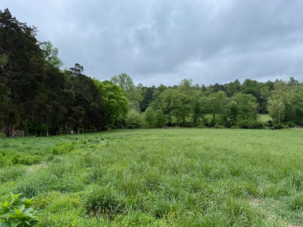 Image for 6.32 +/- Acre Land Parcel w/Road Frontage & Partial Fencing in Orange County, VA--SELLING to the HIGHEST BIDDER!!