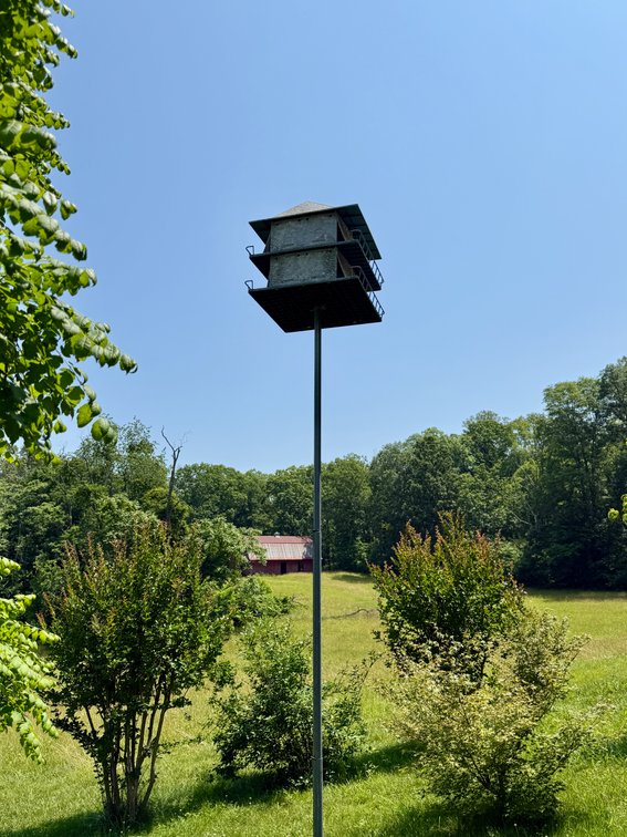 Image for 3 BR/3.5 BA Home w/Barn, Shop Building & Large Pond on 17.88 +/- Acres in Madison County, VA--SELLING to the HIGHEST BIDDER!!