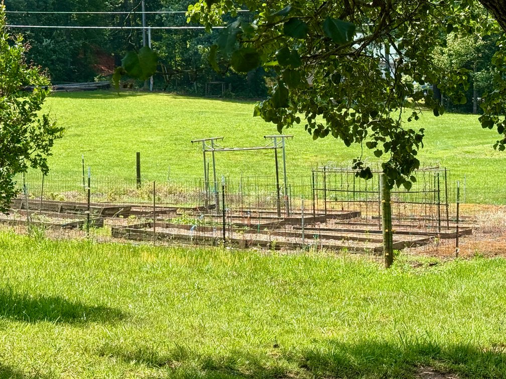 Image for 3 BR/3.5 BA Home w/Barn, Shop Building & Large Pond on 17.88 +/- Acres in Madison County, VA--SELLING to the HIGHEST BIDDER!!