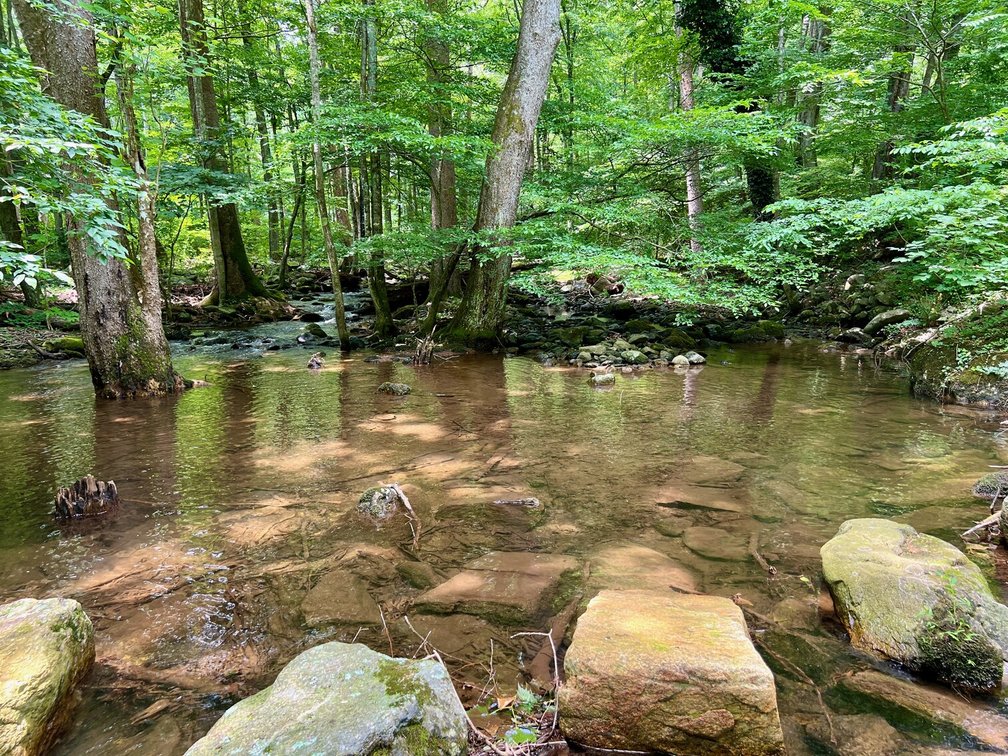 Image for Barn/Potential Residence w/Approved Drain Field Site on .64 +/- Acre Lot Near Shenandoah National Park in Madison County, VA--ONLINE ONLY BIDDING!!