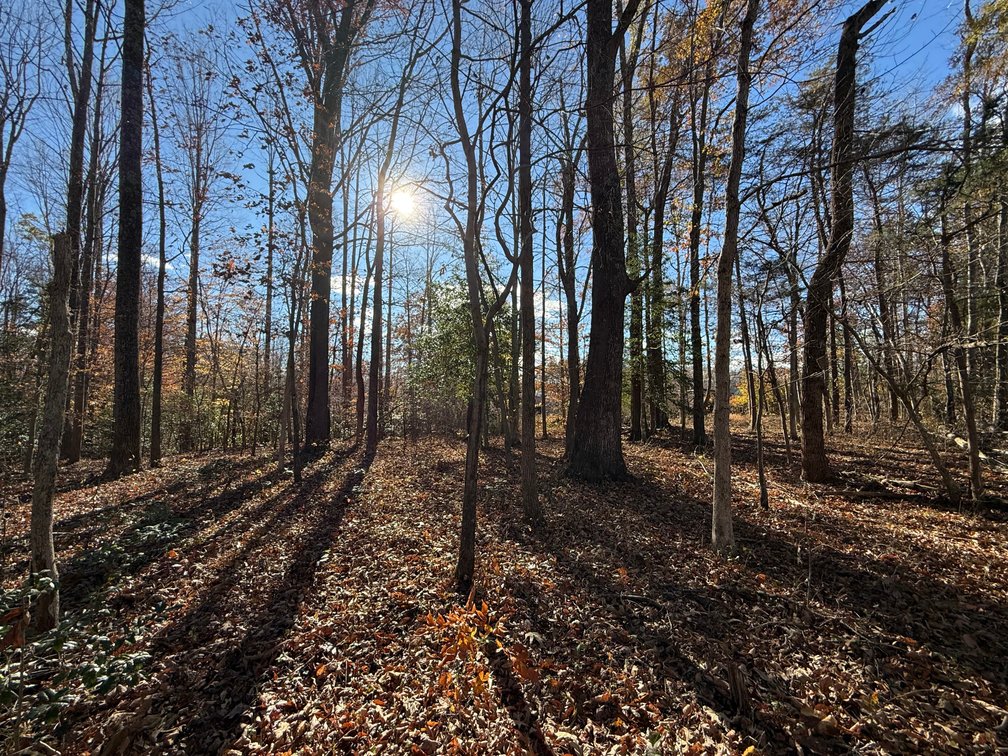 Image for 5.2 +/- Acre Mostly Wooded Building/Estate Lot in Orange County, VA--SELLING to the HIGHEST BIDDER via ONLINE ONLY BIDDING!!