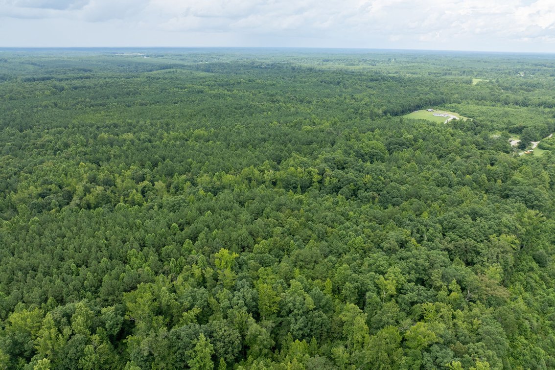 Image for 7 Estate Building Lots w/Perk Sites & VDOT Approved Entrances--Lunenburg County, VA