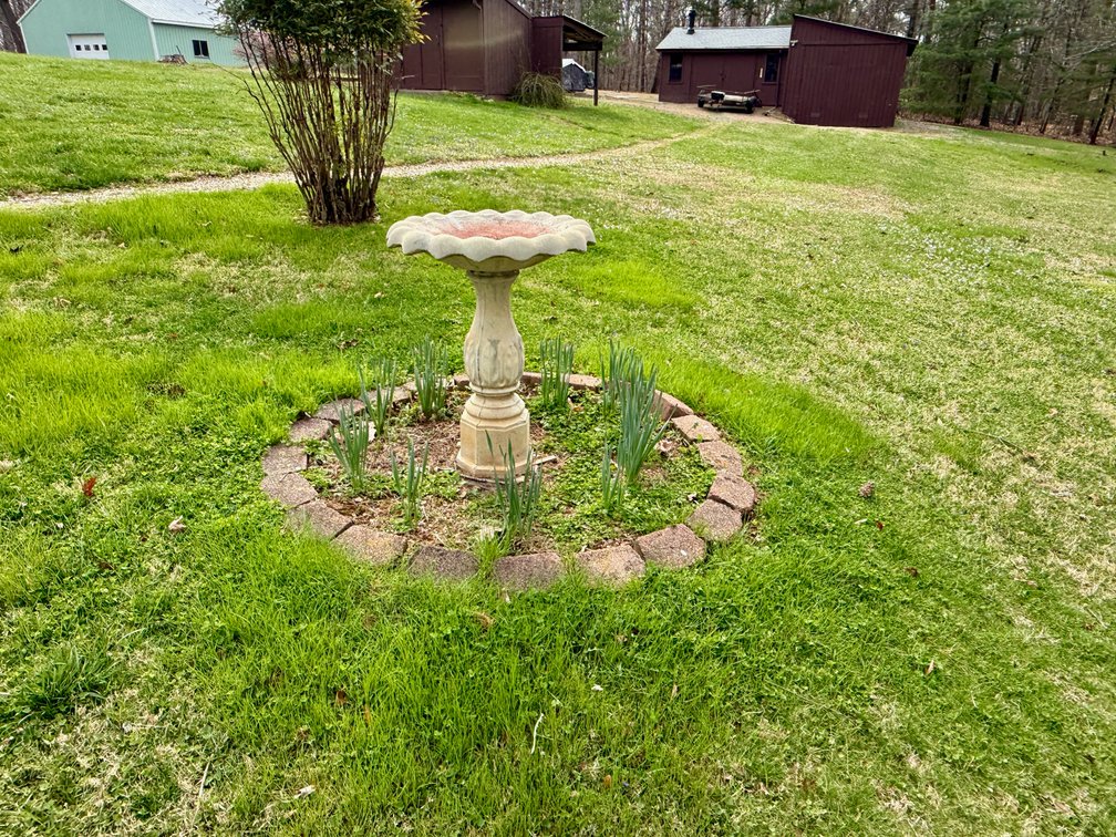Image for 3 BR/2 BA Home w/Detached Shop & Garage on 1.3 +/- Acres in Barboursville, VA--SELLING to the HIGHEST BIDDER!!