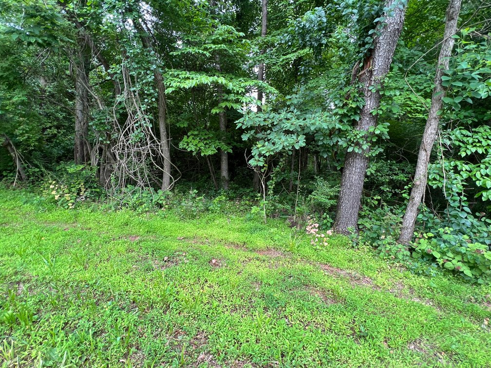 Image for Approved 8-Lot Subdivision in Fauquier County, VA w/Significant Engineering, Planning, Utility Approvals, and Architectural Review Already Completed--ONLINE ONLY BIDDING!!