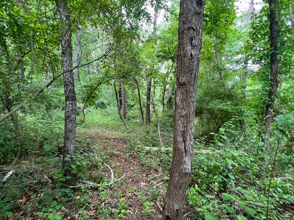 Image for Approved 8-Lot Subdivision in Fauquier County, VA w/Significant Engineering, Planning, Utility Approvals, and Architectural Review Already Completed--ONLINE ONLY BIDDING!!