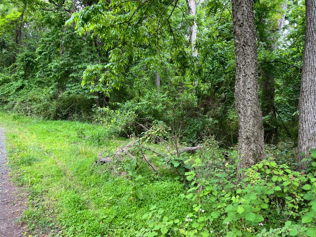 Image for Approved 8-Lot Subdivision in Fauquier County, VA w/Significant Engineering, Planning, Utility Approvals, and Architectural Review Already Completed--ONLINE ONLY BIDDING!!