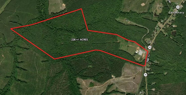 Image for 228 +/- Acres of Prime Central Virginia Land with a Processing Building, 2 Wells and 700' +/- of Rt. 20 Frontage--ONLINE ONLY BIDDING!!