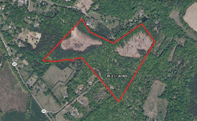 Image for 45.3 +/- Acres of Undeveloped Land--Orange County, VA