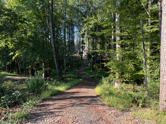 Image for 45.3 +/- Acres of Undeveloped Land--Orange County, VA