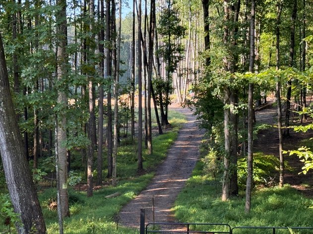 Image for 45.3 +/- Acres of Undeveloped Land--Orange County, VA