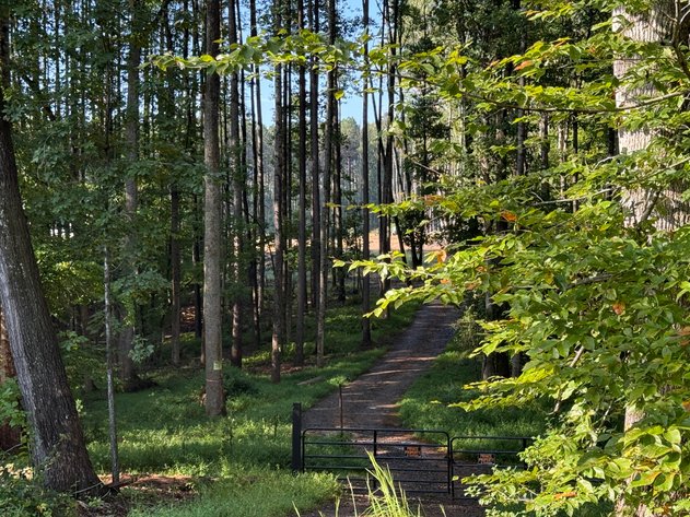 Image for 45.3 +/- Acres of Undeveloped Land--Orange County, VA