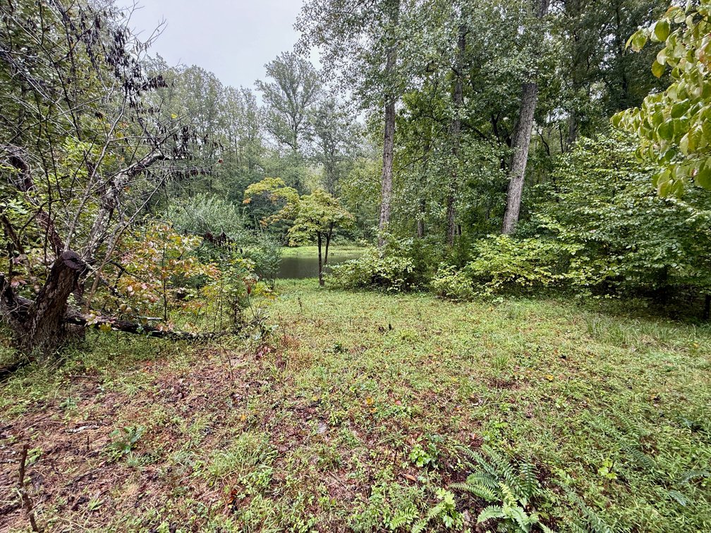 Image for 7.6 +/- Acres w/Well, Pond & Potential Homesite in Madison County, VA--ONLINE ONLY BIDDING!!