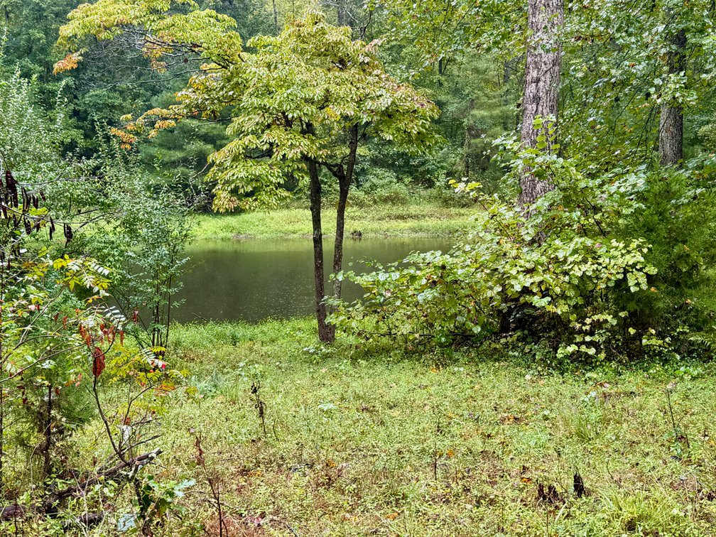 Image for 7.6 +/- Acres w/Well, Pond & Potential Homesite in Madison County, VA--ONLINE ONLY BIDDING!!