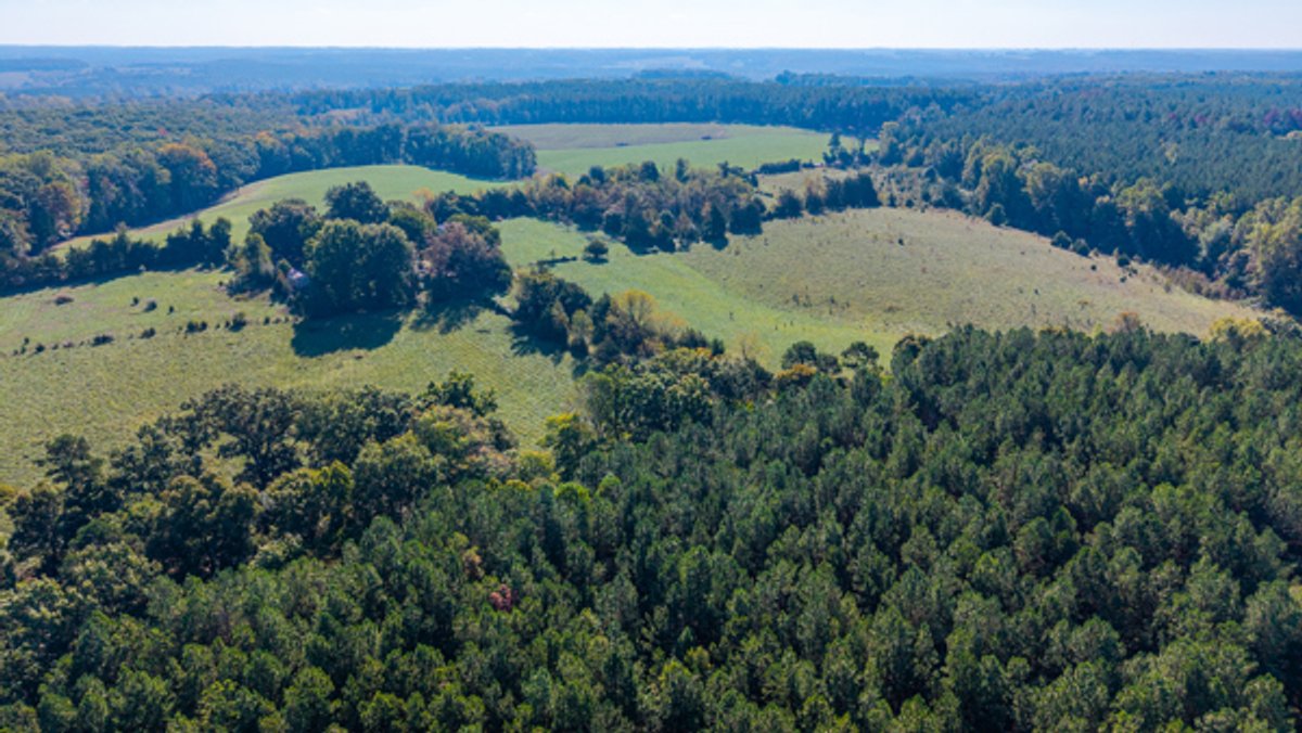 Image for 162 +/- Acres of Campbell County, VA Land Featuring Merchantable Timber, Potential Homesite, Road Frontage, Open & Wooded Sections, Pond, Wildlife & Agricultural Zoning!!