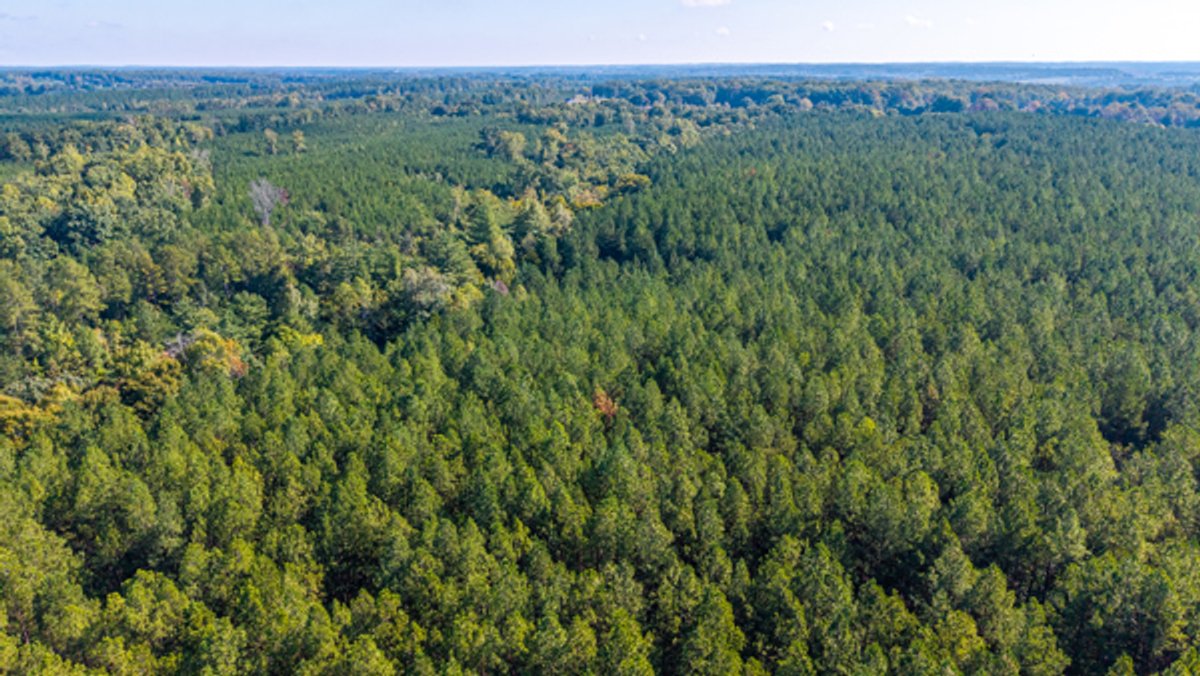 Image for 162 +/- Acres of Campbell County, VA Land Featuring Merchantable Timber, Potential Homesite, Road Frontage, Open & Wooded Sections, Pond, Wildlife & Agricultural Zoning!!