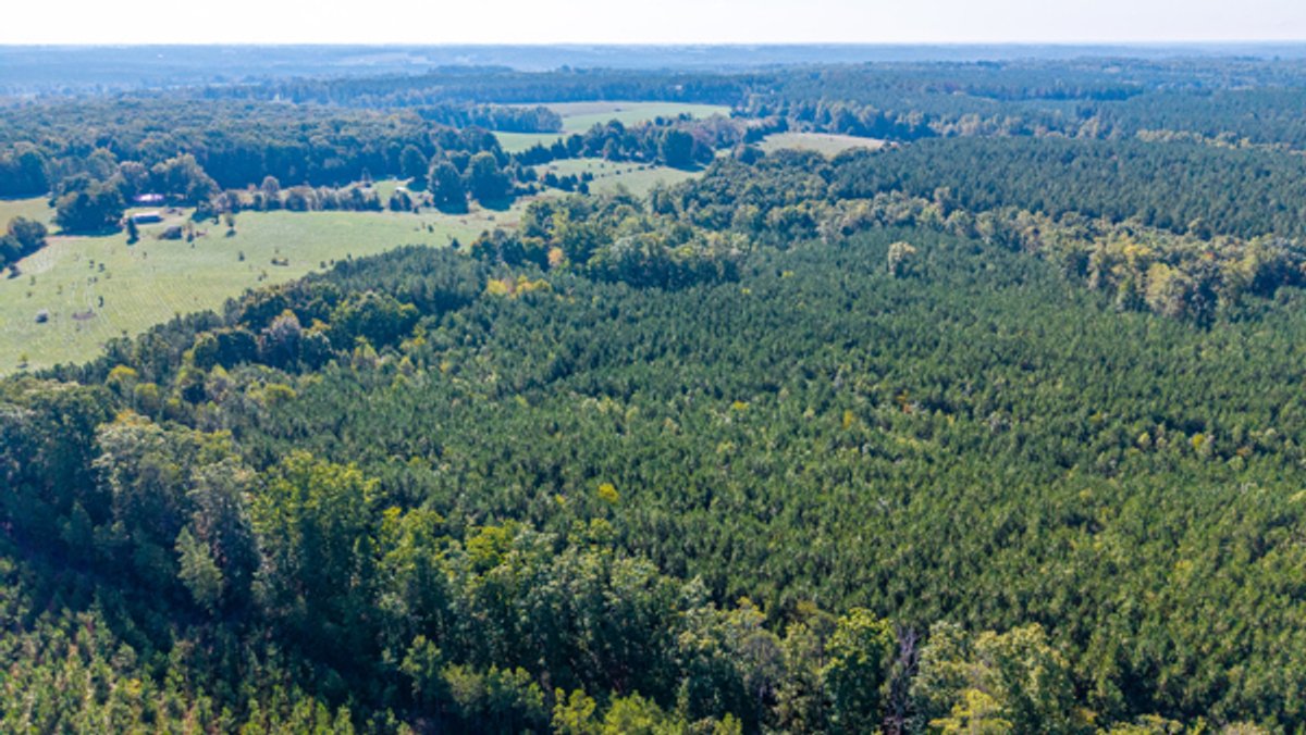 Image for 162 +/- Acres of Campbell County, VA Land Featuring Merchantable Timber, Potential Homesite, Road Frontage, Open & Wooded Sections, Pond, Wildlife & Agricultural Zoning!!