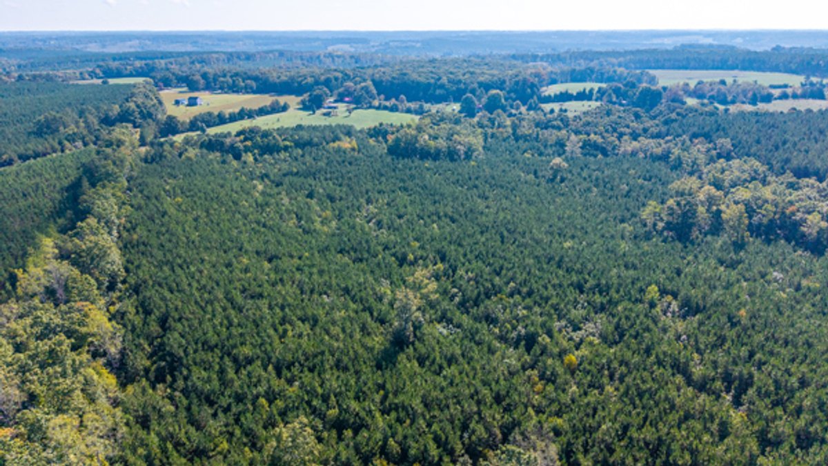 Image for 162 +/- Acres of Campbell County, VA Land Featuring Merchantable Timber, Potential Homesite, Road Frontage, Open & Wooded Sections, Pond, Wildlife & Agricultural Zoning!!