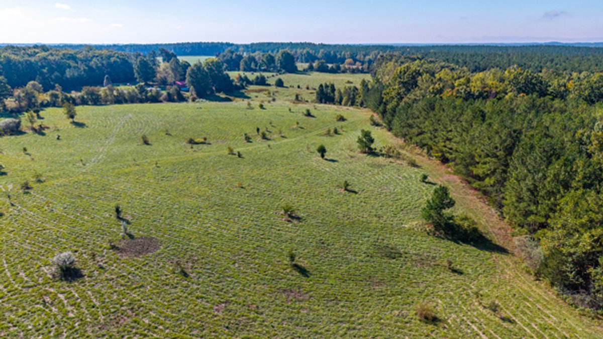 Image for 162 +/- Acres of Campbell County, VA Land Featuring Merchantable Timber, Potential Homesite, Road Frontage, Open & Wooded Sections, Pond, Wildlife & Agricultural Zoning!!