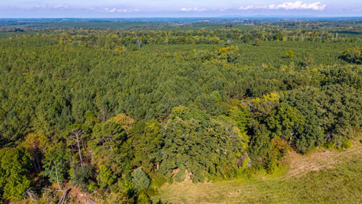 Image for 162 +/- Acres of Campbell County, VA Land Featuring Merchantable Timber, Potential Homesite, Road Frontage, Open & Wooded Sections, Pond, Wildlife & Agricultural Zoning!!