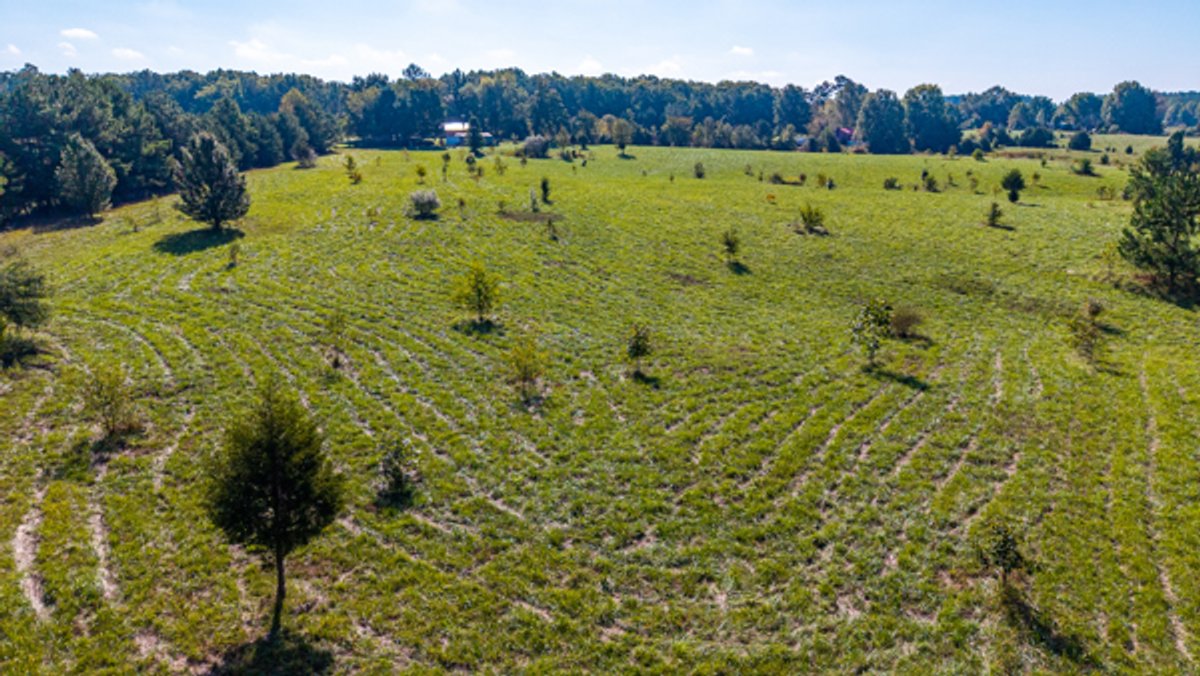 Image for 162 +/- Acres of Campbell County, VA Land Featuring Merchantable Timber, Potential Homesite, Road Frontage, Open & Wooded Sections, Pond, Wildlife & Agricultural Zoning!!