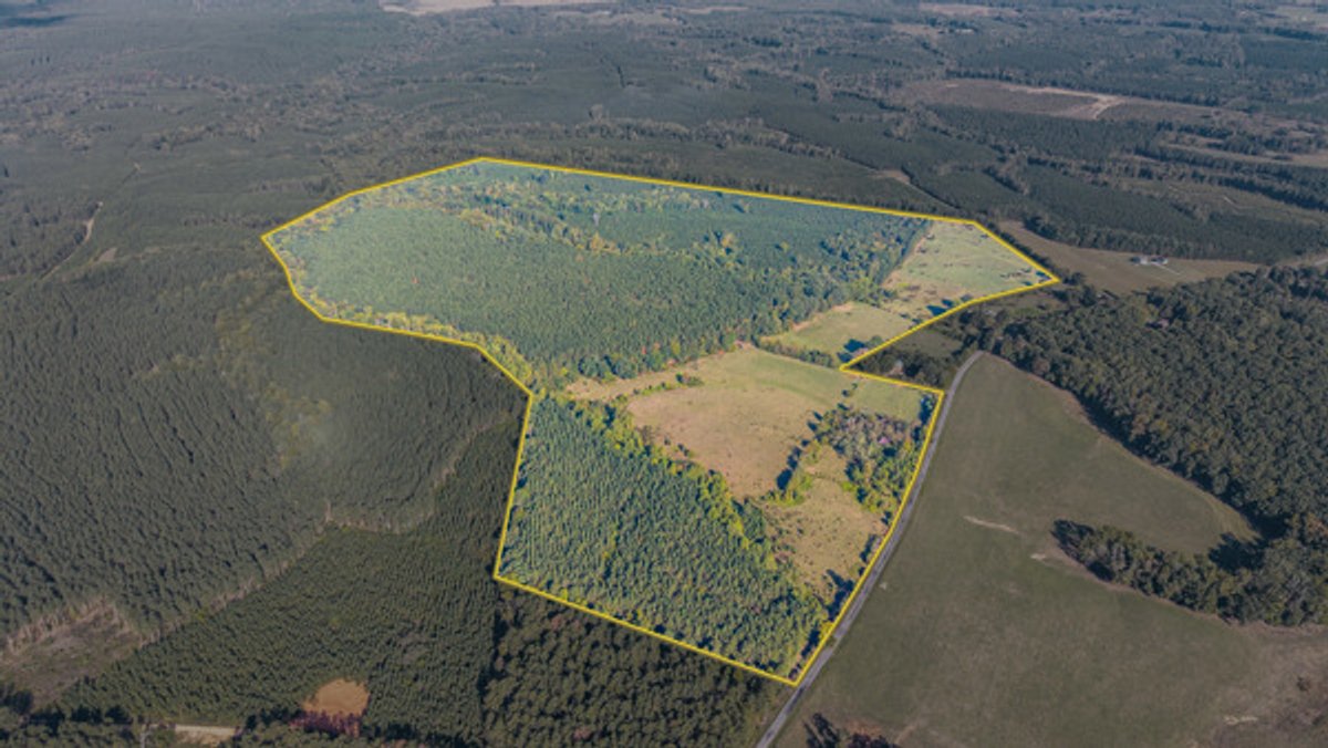 Image for 162 +/- Acres of Campbell County, VA Land Featuring Merchantable Timber, Potential Homesite, Road Frontage, Open & Wooded Sections, Pond, Wildlife & Agricultural Zoning!!