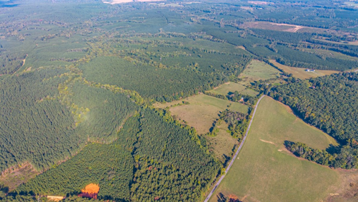 Image for 162 +/- Acres of Campbell County, VA Land Featuring Merchantable Timber, Potential Homesite, Road Frontage, Open & Wooded Sections, Pond, Wildlife & Agricultural Zoning!!