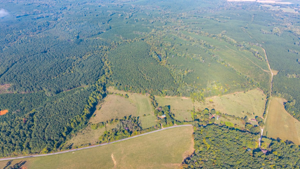 Image for 162 +/- Acres of Campbell County, VA Land Featuring Merchantable Timber, Potential Homesite, Road Frontage, Open & Wooded Sections, Pond, Wildlife & Agricultural Zoning!!