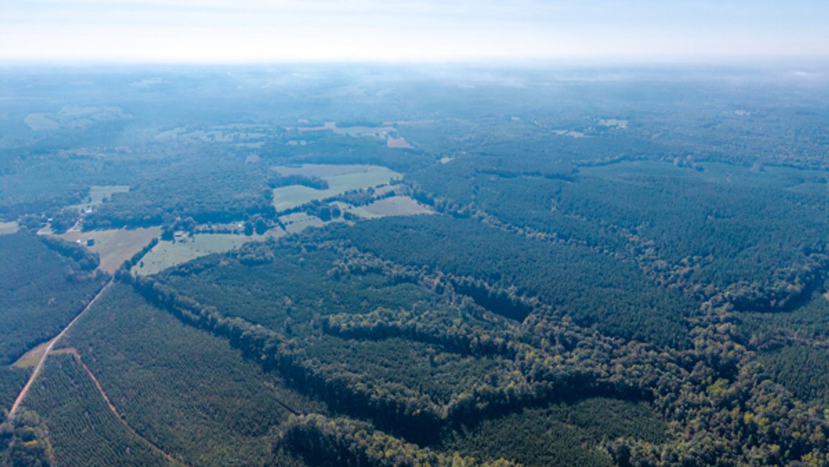 Image for 162 +/- Acres of Campbell County, VA Land Featuring Merchantable Timber, Potential Homesite, Road Frontage, Open & Wooded Sections, Pond, Wildlife & Agricultural Zoning!!