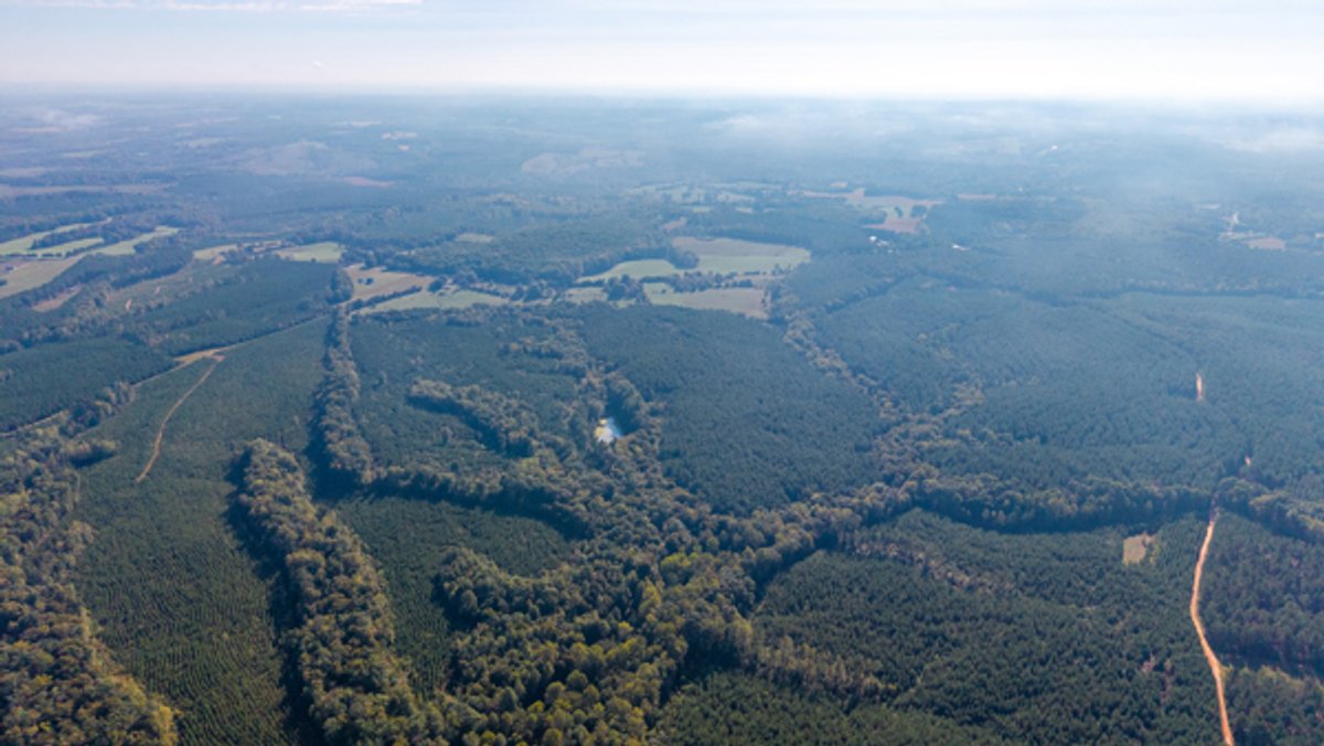 Image for 162 +/- Acres of Campbell County, VA Land Featuring Merchantable Timber, Potential Homesite, Road Frontage, Open & Wooded Sections, Pond, Wildlife & Agricultural Zoning!!