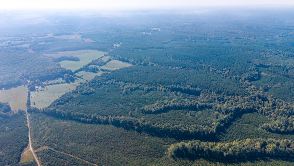 Image for 162 +/- Acres of Campbell County, VA Land Featuring Merchantable Timber, Potential Homesite, Road Frontage, Open & Wooded Sections, Pond, Wildlife & Agricultural Zoning!!