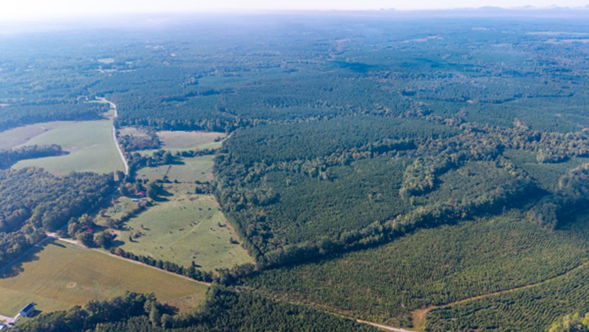 Image for 162 +/- Acres of Campbell County, VA Land Featuring Merchantable Timber, Potential Homesite, Road Frontage, Open & Wooded Sections, Pond, Wildlife & Agricultural Zoning!!