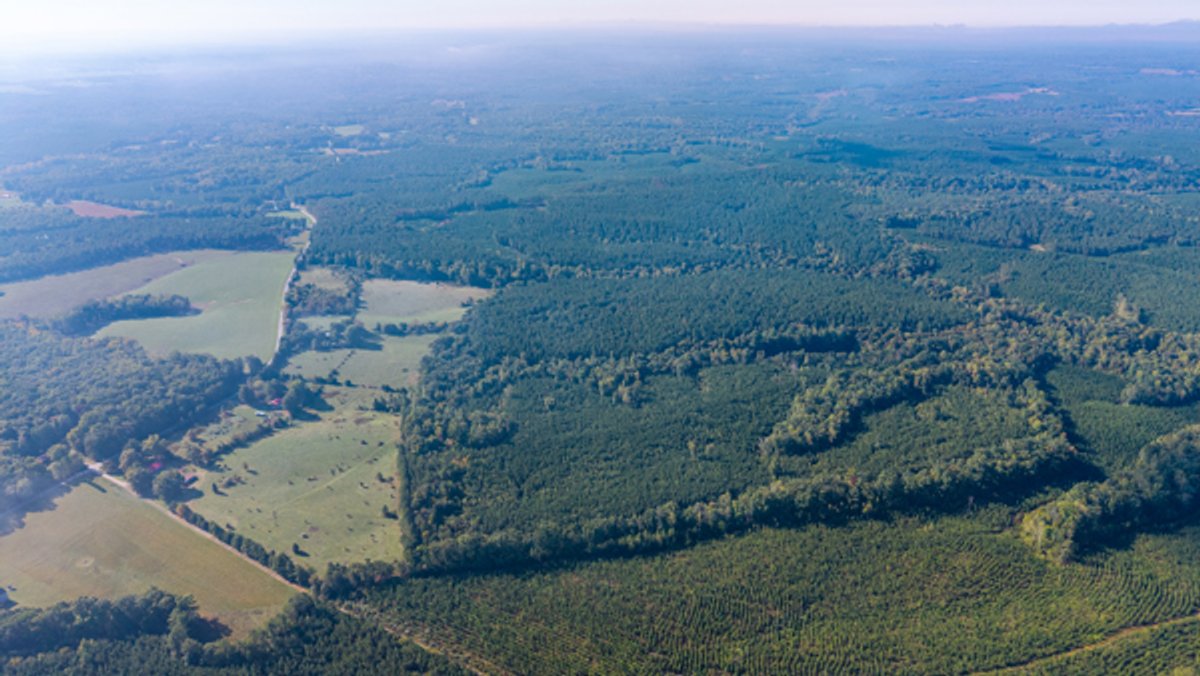 Image for 162 +/- Acres of Campbell County, VA Land Featuring Merchantable Timber, Potential Homesite, Road Frontage, Open & Wooded Sections, Pond, Wildlife & Agricultural Zoning!!