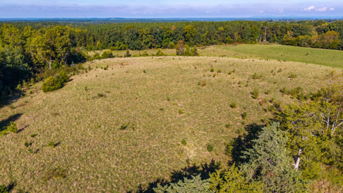 Image for 162 +/- Acres of Campbell County, VA Land Featuring Merchantable Timber, Potential Homesite, Road Frontage, Open & Wooded Sections, Pond, Wildlife & Agricultural Zoning!!