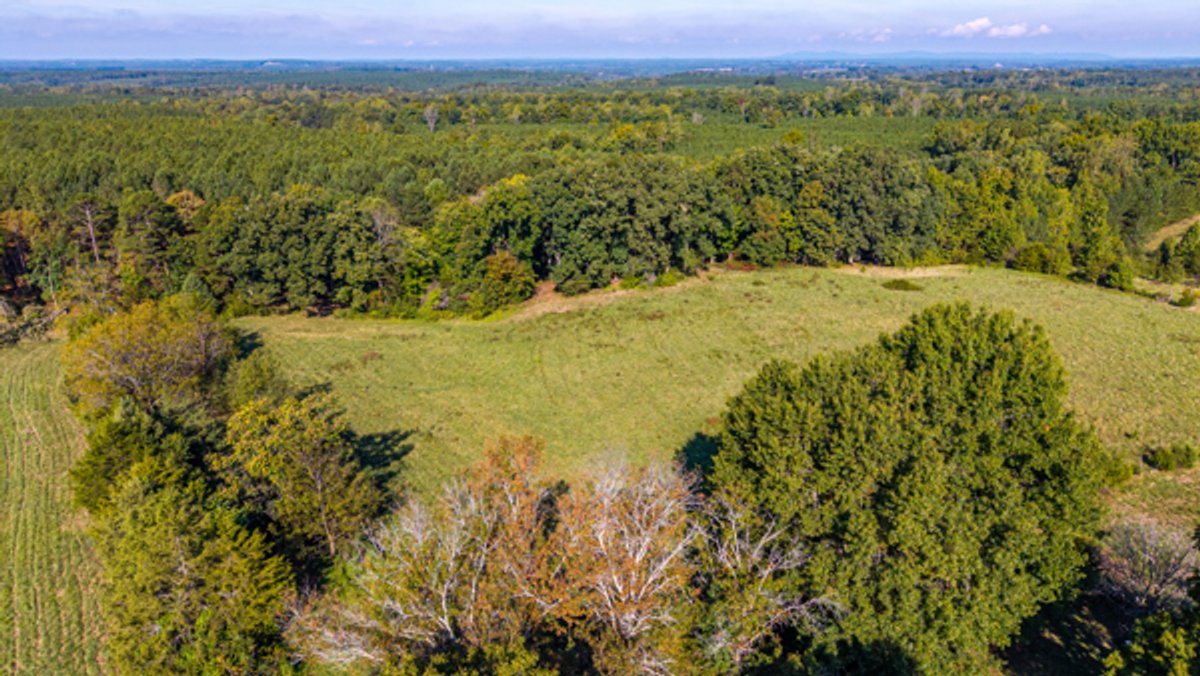 Image for 162 +/- Acres of Campbell County, VA Land Featuring Merchantable Timber, Potential Homesite, Road Frontage, Open & Wooded Sections, Pond, Wildlife & Agricultural Zoning!!