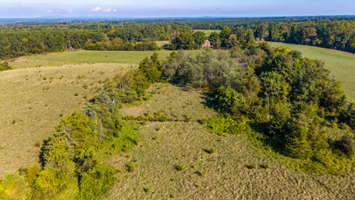 Image for 162 +/- Acres of Campbell County, VA Land Featuring Merchantable Timber, Potential Homesite, Road Frontage, Open & Wooded Sections, Pond, Wildlife & Agricultural Zoning!!