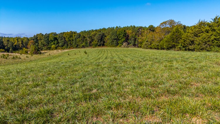 Image for 162 +/- Acres of Campbell County, VA Land Featuring Merchantable Timber, Potential Homesite, Road Frontage, Open & Wooded Sections, Pond, Wildlife & Agricultural Zoning!!