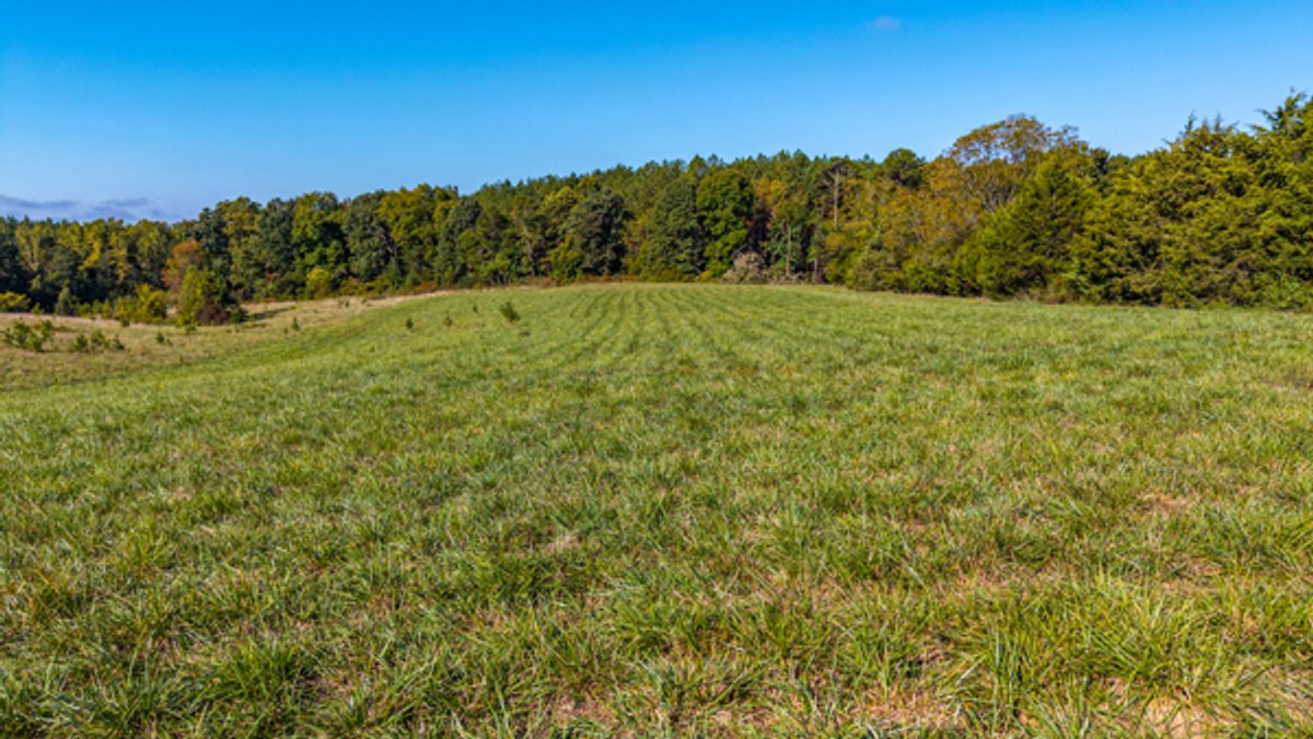 Image for 162 +/- Acres of Campbell County, VA Land Featuring Merchantable Timber, Potential Homesite, Road Frontage, Open & Wooded Sections, Pond, Wildlife & Agricultural Zoning!!